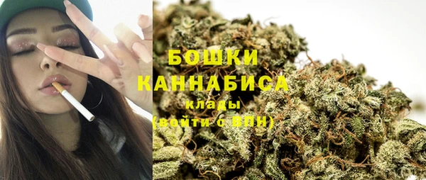 гашик Няндома