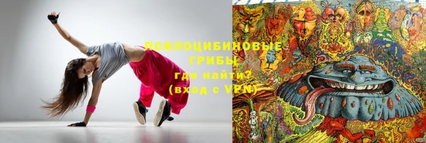 МДПВ Алзамай