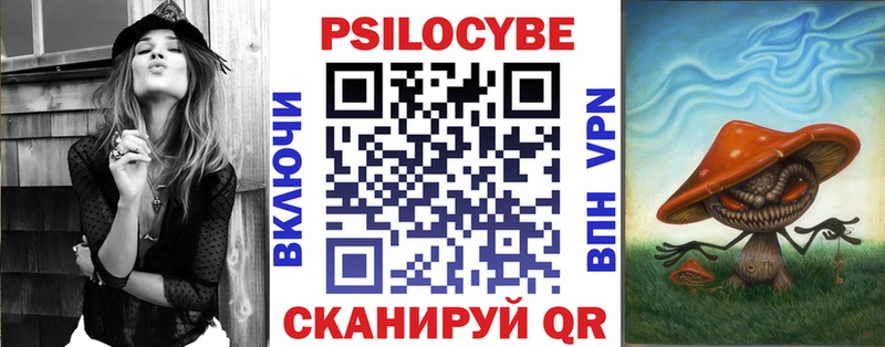 закладки Осинники Галлюциногенные грибы Psilocybe
